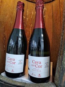 cava amb cor ampolles