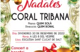 Concert de Nadal a Salt